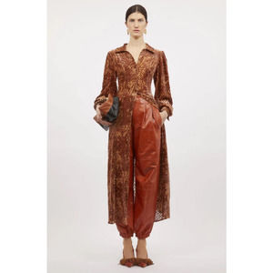 Ulla Johnson Thalia Long Sleeve Velvet Burnout Shirtdress Sienna Size 6 NWT